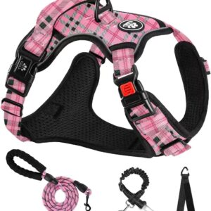 NESTROAD Dog Harness, No Pull Puppy Dog Car Vest Harness and Lead Set, Pink Plaid, Size S for Small Dogs Neck 11-15" Chest 15-21", Reflective No-Choke, Essential Pets Accessories for Training Walking