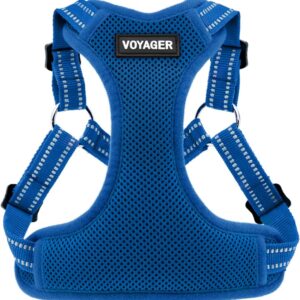 Best Pet Supplies Voyager Adjustable Dog Harness with Reflective Stripes, Heavy-Duty Full Body No Pull Vest with Leash D-Ring, Breathable All-Weather - Harness (Royal Blue), S (Chest: 15-18")