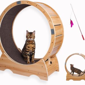 ODOXIA Cat Wheel Exercise | The Ultimate Walking Treadmill | Fun Cat Furniture for Your Feline Friend | Cat Supplies | Cat Exercise Wheel | Stimulating Cat Toys | Cat Play Mat