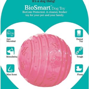 Rosewood Biosafe Pink Puppy Ball Dog Toy, Pink