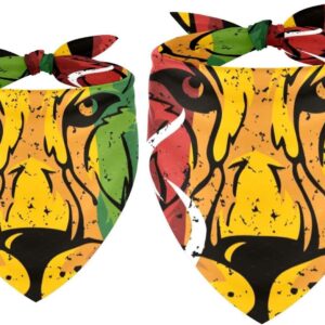 2 Pack Dog Bandana Lion Rasta Girl Boy Bibs Dog Scarf Kerchief Accessories for Small Medium Large Dogs Puppy Cat Pet