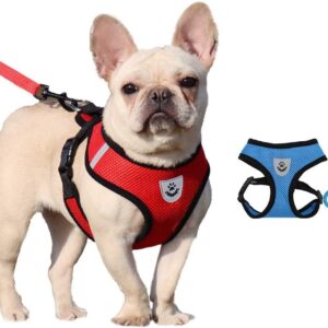 2 Pack Dog Harness Adjustable No Pull Harness for Dogs Dog Vest Harness Mesh Fabric Puppy Harness with Soft Padding - Training Stuff and Supplies for Small and Medium Dogs
