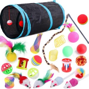 22 Pcs Cat Toys Interactive for Indoor Cats Tunnel Mouse Kitten Toys Cat Feather Teaser Wand Spring Toy