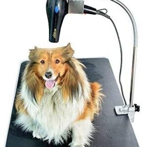 Gravitis Pet Supplies Professional Hair Dryer Holder – Holder only - Suitable for use with Gravitis Professional Dog Grooming Table
