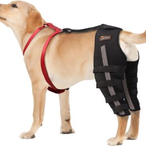 Moysoon Dog Acl Brace Hind Leg, Dog Knee Braces for Torn Acl Hind Leg, Luxating Patella, Cruciate Ligament, Dog Acl Knee Brace Support Back Leg for Relieve Joint Pain and Muscle Sore Both (XS)