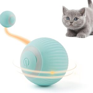 Namsan Cat Toy Electric Cat Ball with LED Light Automatic 360 Degree Rollball Interactive Cat Toy USB Rechargeable for Cats (Blue)