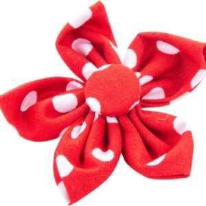Pet Pooch Boutique Polka Dot Flower Collar Accessory for Dog, Red
