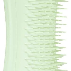 Pet Teezer, Pet Puppy Grooming Brush, Mint