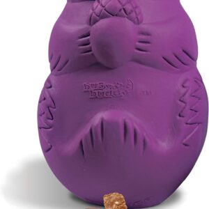 PetSafe Busy Buddy Squirrel Dude, Interactive Treat Dispensing Dog Toy - Chew Toy, Small Dogs