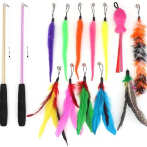 SLSON 14 Pack Cat Teaser Toy 2 Retractable Interactive Cat Wand and 12 Colourful Replaceable Cat Feather Toys with Bells For Indoor Cat and Kitten Catcher