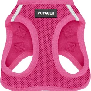 Voyager Step-in Air Dog Harness - All Weather Mesh Step in Vest Harness for Small and Medium Dogs and Cats by Best Pet Supplies - Harness (Fuchsia), M (Chest: 16-18")