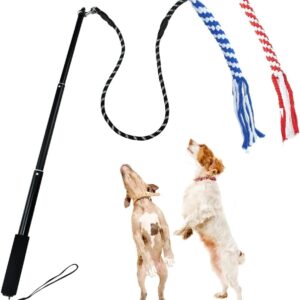 ASOCEA Flirt Pole Dogs Pet Extendable Teaser Wand Outdoor Interactive Teaser Toys Flirt Stick with 2 Rope Lure Tail Toy for Small Medium Chasing Training Pulling Playing Exercise(Red+Blue)