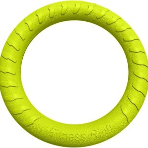 JINJIASUYISU Dog Flying Ring Toys, Floating Flying Disc, Outdoor Fitness Flying Discs, Durable Interactive Chew Toys Interactive Training Ring for Small Dog and Medium Dog (Green/18cm)