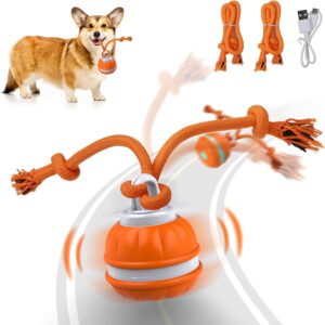 Salodal Peppy Pet Ball for Dogs, Dog Interactive Toys Dog Ball,Motion Activate Rolling Ball for Puppy/Small Dogs, Automatic Moving Dog Toy,USB Rechargeable (dog ball)